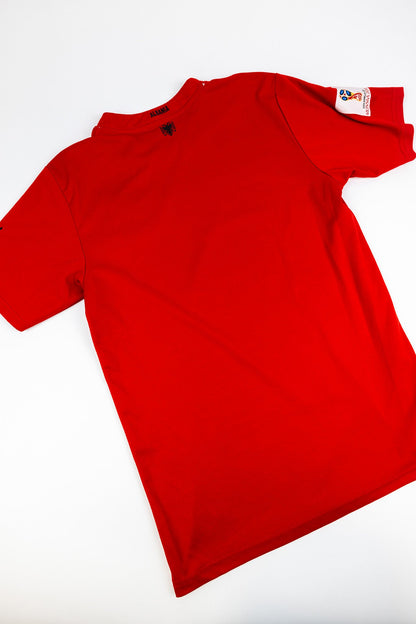 Albania 2016-17 Football Shirt (Small)