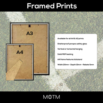 Steve Bull Wolves Legend Stats Print - Man of The Match Football