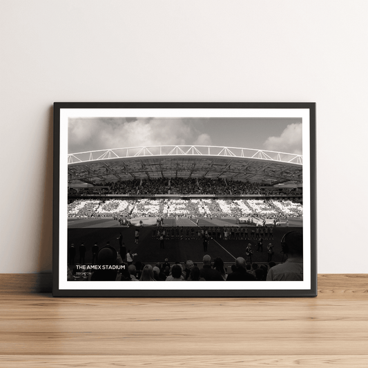 Amex Stadium Brighton & Hove Albion Photography Print