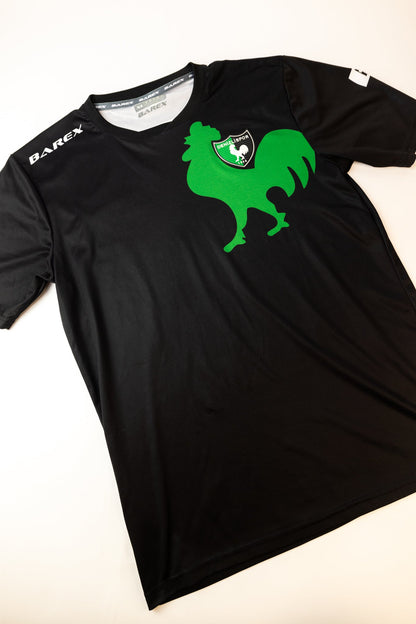 Denizlispor 2017-18 Football Shirt (XL)