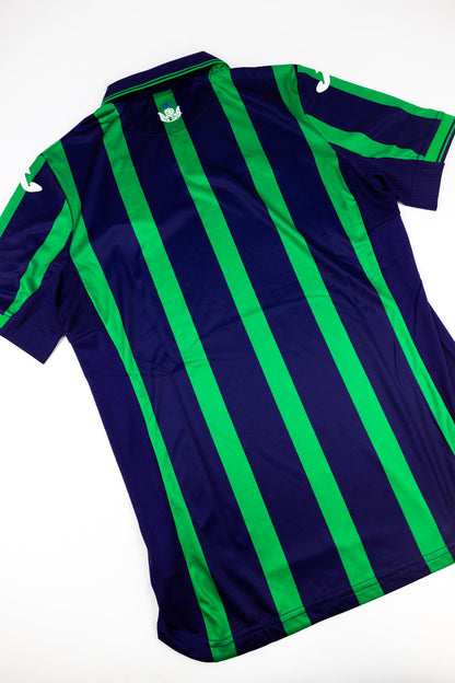 Hibernian 2024-25 Football Shirt (Small)