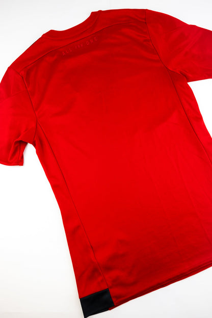 Toronto 2015-16 Football Shirt (Small)