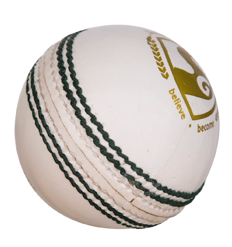 SG Shield 30 Leather Ball